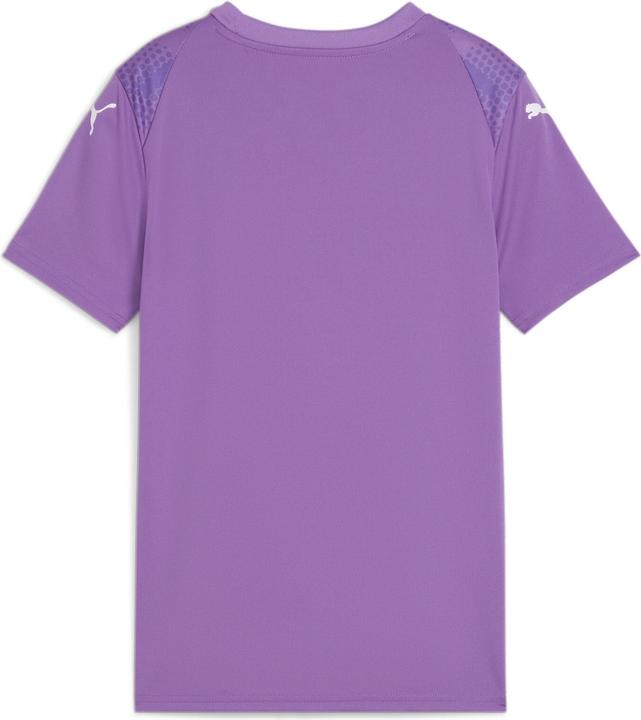 Actual product image Puma teamULTIMATE Jersey Jr (140)