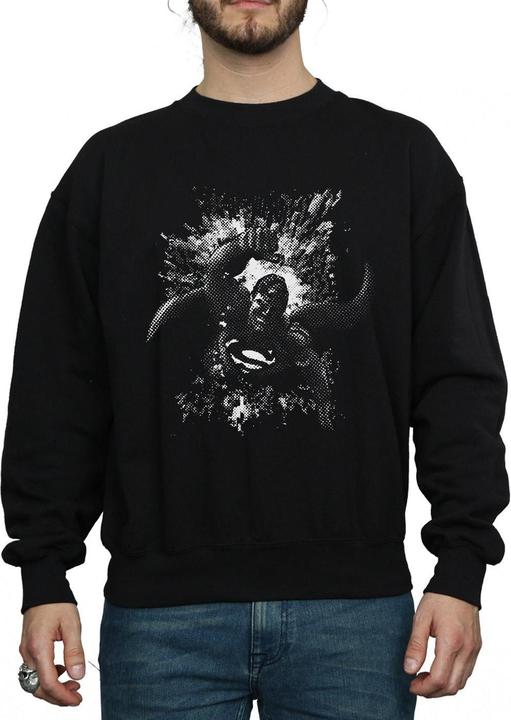 Produktbild Superman Spot Sweatshirt (XL)