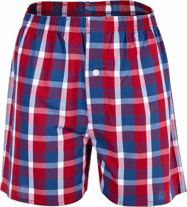 Image du produit Your Basics Boxers tissés Casual Coupe ample (188, paquet de 7)