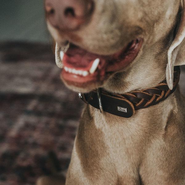 Produktbild Hunter Halsband Solid Education Special (35, 36, 37, 38, 39, 40, 41, 42, 43, 44, Hund)