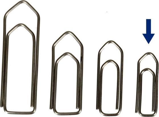Actual product image Omega Paper clips (100 x)