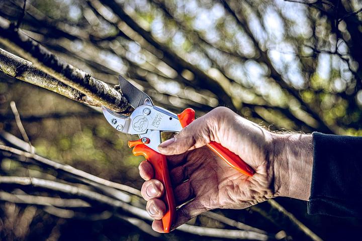 Actual product image Löwe Original Lion 10 AnvilScissors