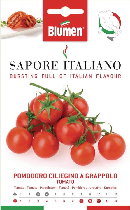 Produktbild Blumen Tomate Ciliegino a Grappolo (Gemüsesamen)