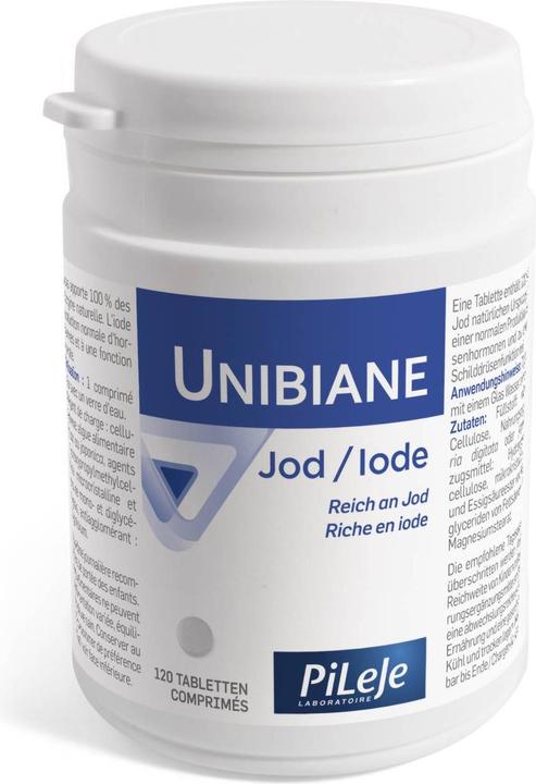 Actual product image PiLeJe Unibiane (120 Piece, Pills, 65 g)