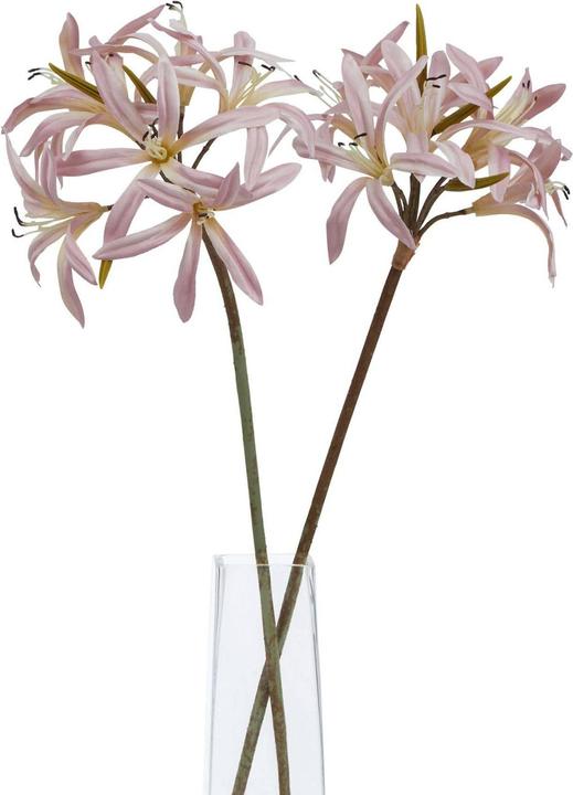 Actual product image Hill Interiors The Natural Garden Collection Lily Stem Artificial Flower (61 cm)