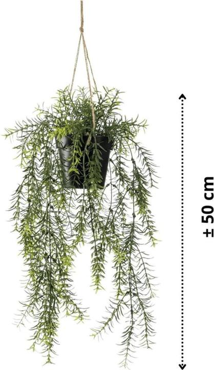 Actual product image Emerald Kunstpflanze (50 cm)