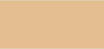 Actual product image Eisenberg CORRECTEUR PRÉCISION 03 Beige 5ml (03)