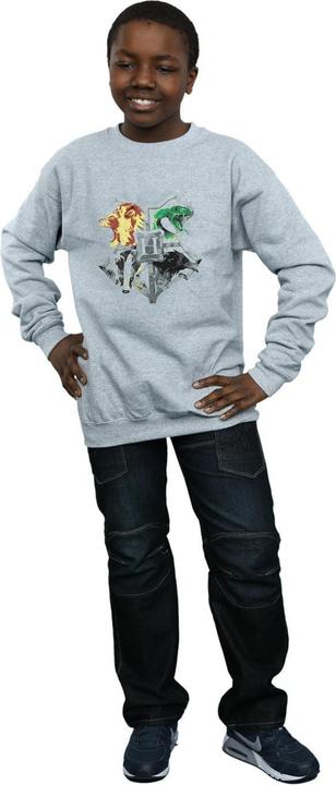 Actual product image Boys Hogwarts Painted Crest Sweatshirt (140, 146)