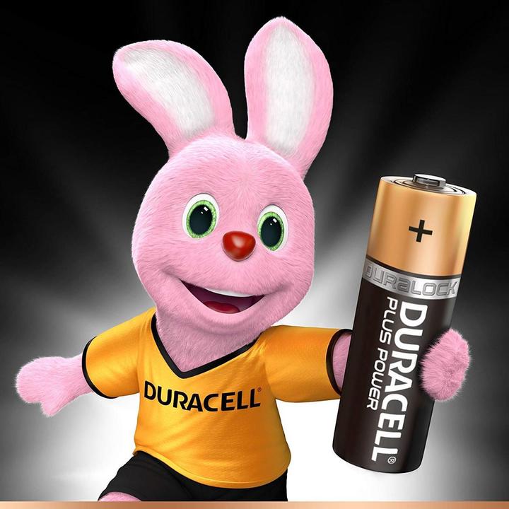 Actual product image Duracell Plus (4 pcs., AA, 2600 mAh)