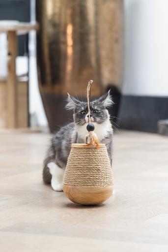 Actual product image Designed by Lotte Tumble Mae (Catmint toy)