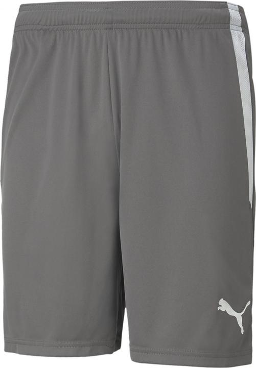 Actual product image Puma teamLIGA Shorts-704924 (XXL)