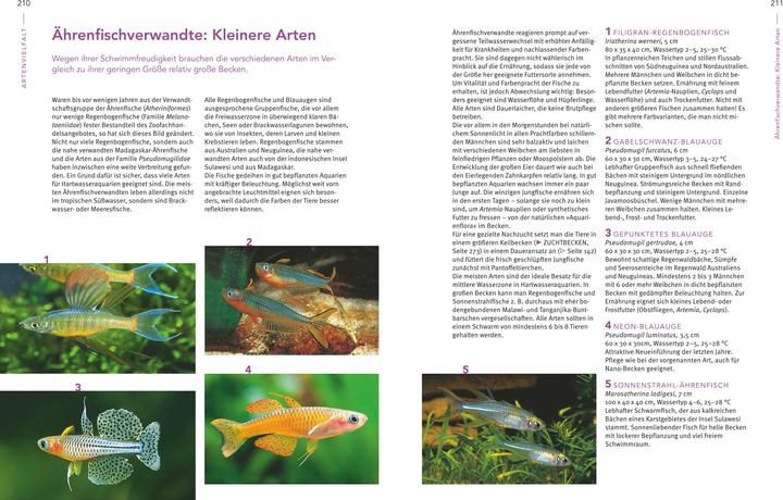 Produktbild Das grosse Praxishandbuch Aquarium (Deutsch, Ulrich Schliewen, 2017)