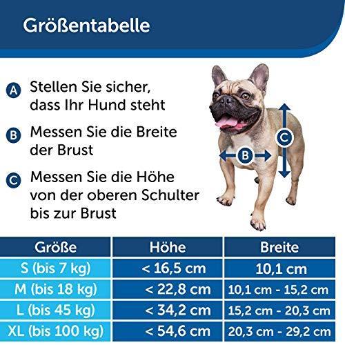 Produktbild PetSafe Haustierklappe Staywell® Haustiertüre (Manuelle Katzenklappe)