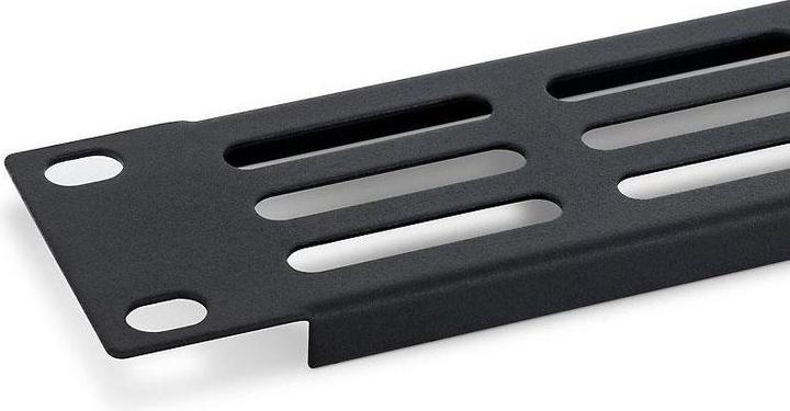 Produktbild Triton RAB-ZP-P42-A1 - 19- perforierte Blindplatte 2HE mit perforiertem Oval 36 x 6 mm, schwarz