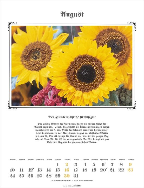 Actual product image Der Hundertjährige Kalender 2026 (30 x 39 cm, German)