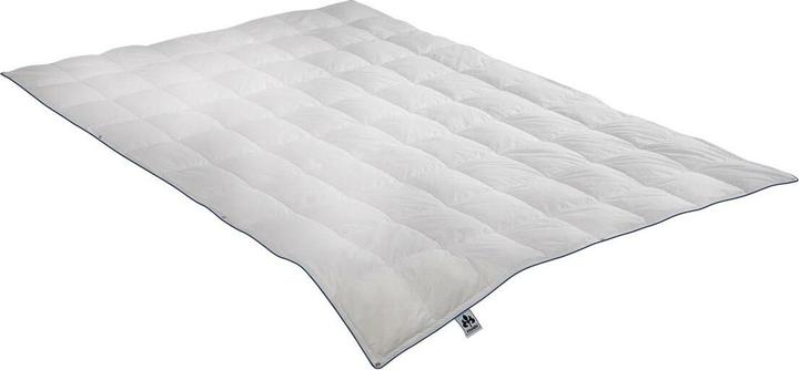Actual product image Irisette Down comforter Laura light, filling: 100% goose down (300 g, 200 x 200 cm)
