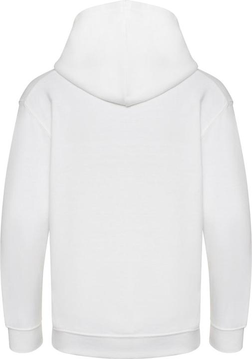 Produktbild Awdis Kapuzenpullover aus biologischem Anbau (104)