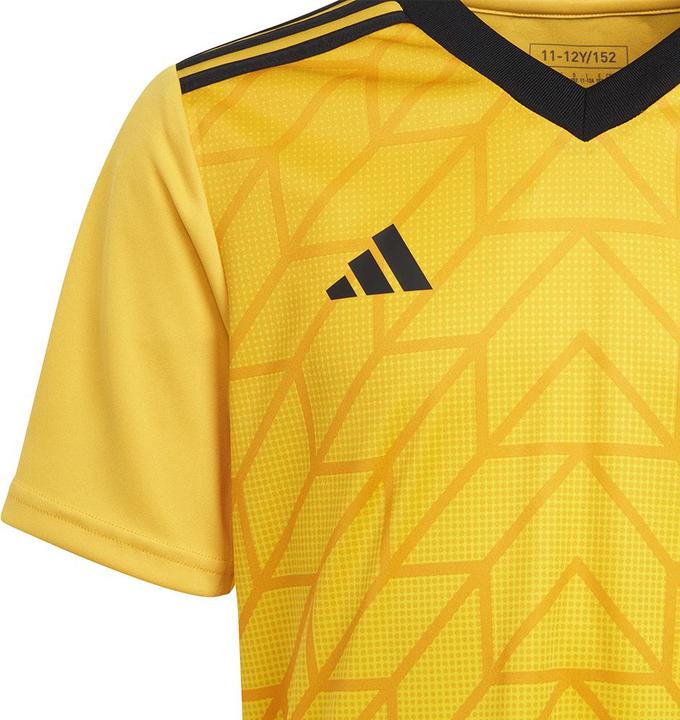 Image du produit adidas Team Icon 23 Maillot (116)