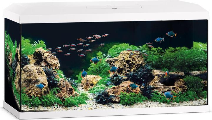 Image du produit Juwel Primo Aquarium 110l (110 l)