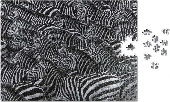 Actual product image Helvetiq Puzzle Zebra, Wildlife Pattern (500 pieces)
