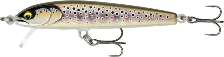 Image du produit Rapala Floater Elite