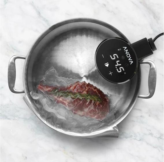 Actual product image Anova Nano