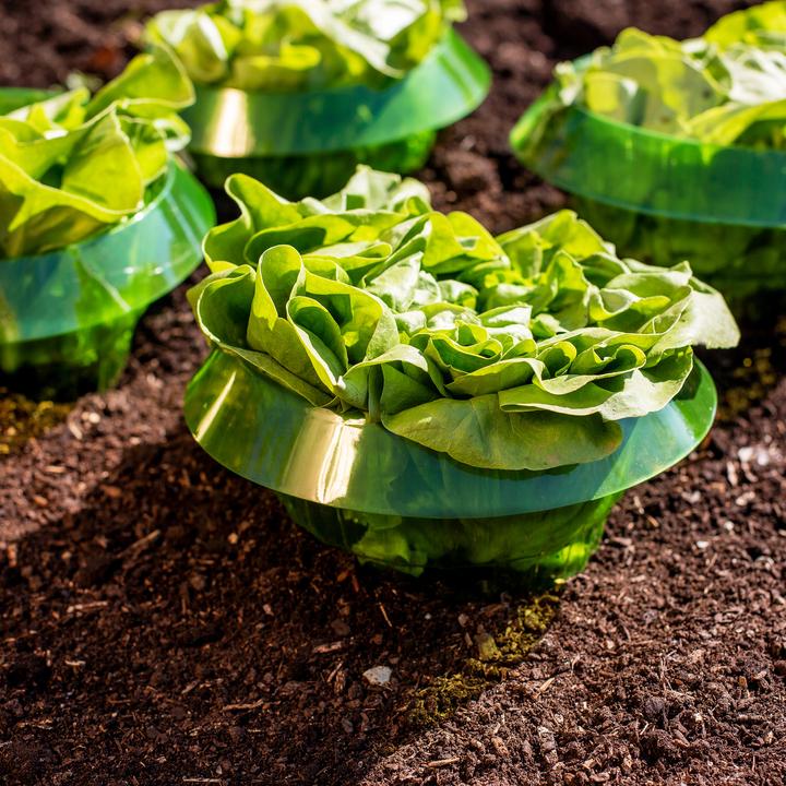 Produktbild UPP Salatringe Pflanzringe Schneckenschutz Schneckenabwehr Pflanzenschutz 5 Stück (19 cm, 19 cm)