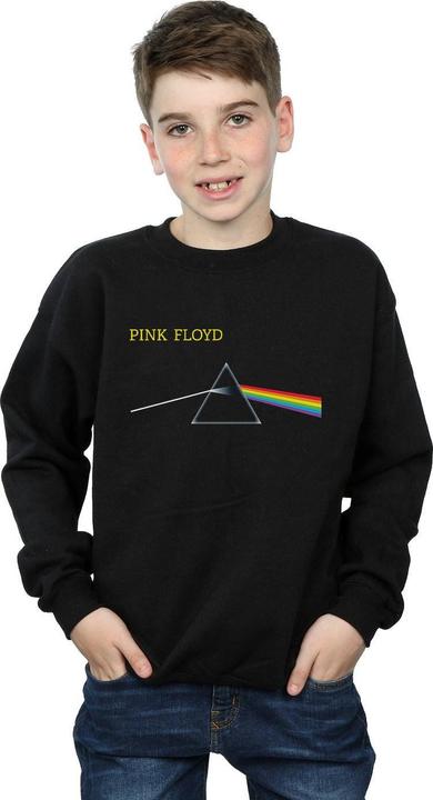 Actual product image Pink Floyd Boys Chest Prism Sweatshirt (152, 158)