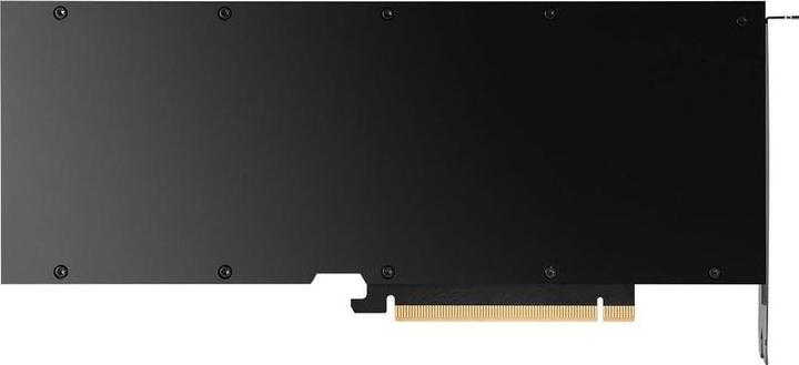 Actual product image PNY NVIDIA L40S (48 GB)