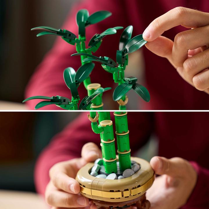 Image du produit LEGO Glücks-Bambus (10344, LEGO Icons)