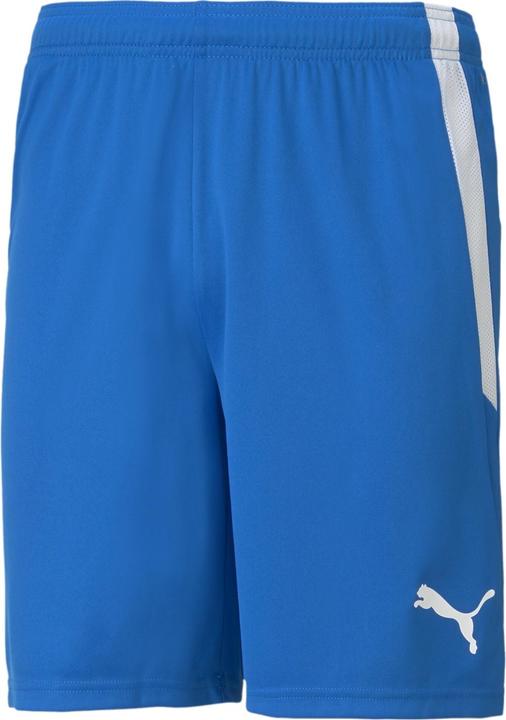 Actual product image Puma teamLIGA Shorts-704924 (60, 3XL)