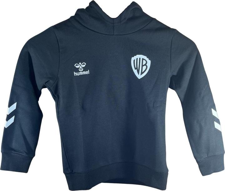 Image du produit hummel Hmlcelebrating Story Hoodie (134)