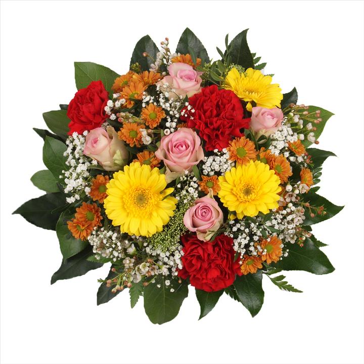 Immagine prodotto Floramall Colori divertenti (Fiori recisi)
