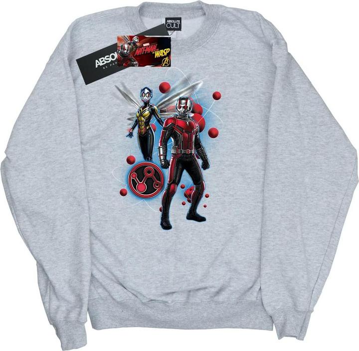 Image du produit Sweat Garçons Ant-Man And The Wasp Particle Pose (152, 158)