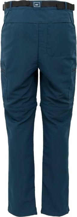 Actual product image Regatta Mens Leesville III Zip-Off Hiking Trousers (42)