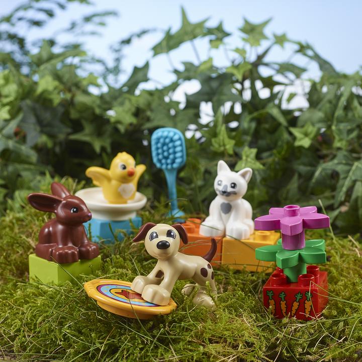 Immagine prodotto LEGO Animali domestici (10838)