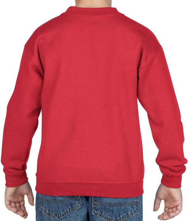 Actual product image Gildan Childrens/Kids Heavy Blend Drop Shoulder Sweatshirt (110)