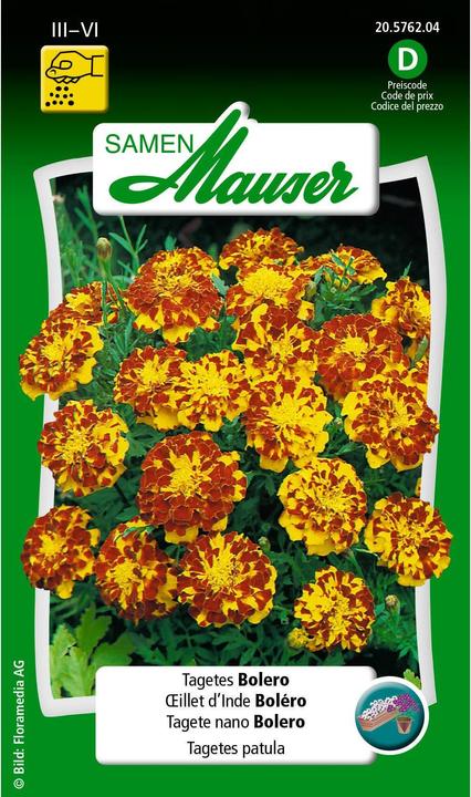 Immagine prodotto Samen Mauser Tagetes Bolero (Semi di fiori)