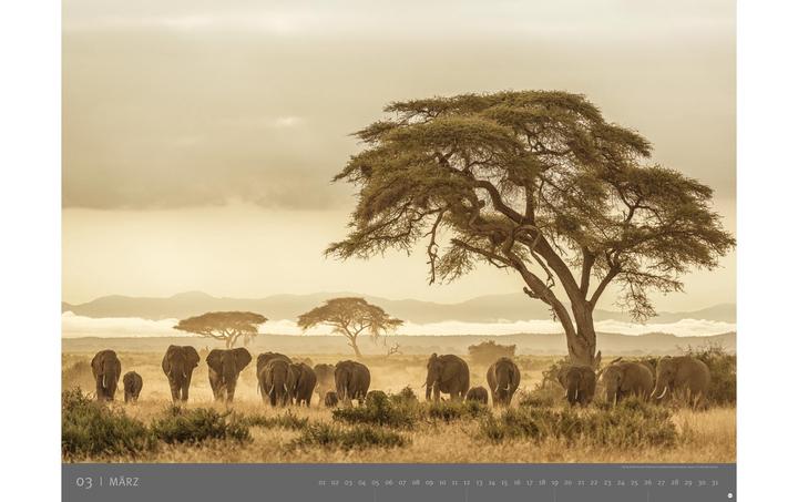 Produktbild Heye Kalender Afrika 2023 (78 x 58 cm, Deutsch)