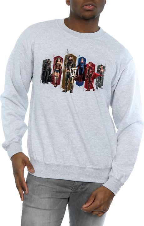 Produktbild Justice League Movie Team Hexagons Sweatshirt (M)