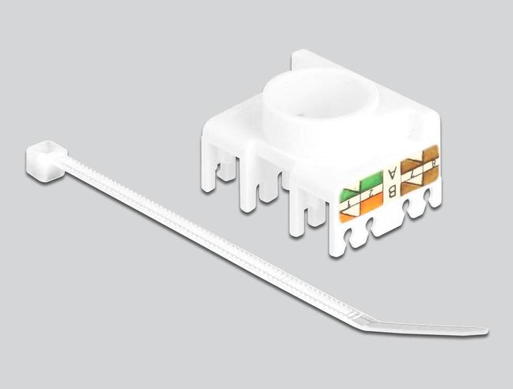 Actual product image Delock Keystone module RJ45 jack to LSA Cat.6A 180° tool-free (Keystone module)