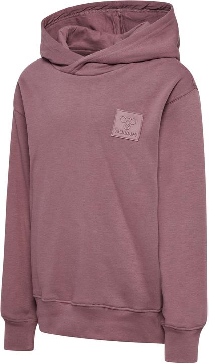 Image du produit hummel hmlCLEAN HOODIE (164)