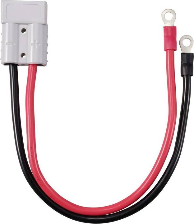 Image du produit Tru Components Hochstrom Batteriesteckverbinder auf M6-Ringöse TC-12195688 Schwarz, Rot TRU CO