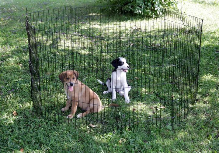 Image du produit Kerbl Enclos pour chiots et petits animaux