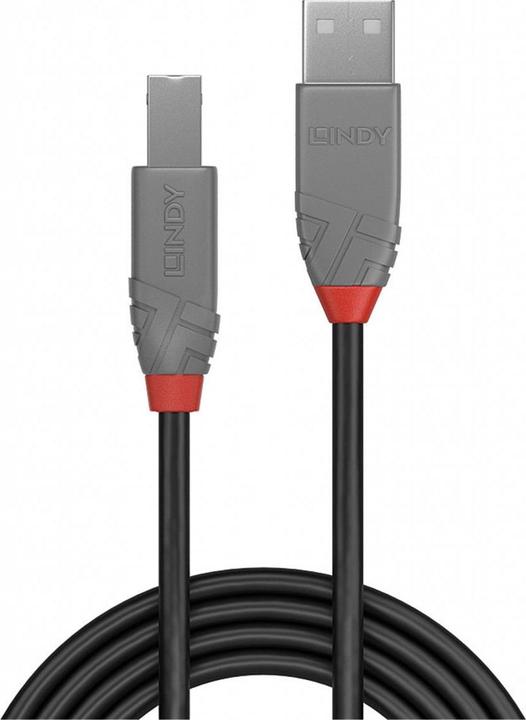 Actual product image Lindy USB/A-USB/B M-M (0.50 m, USB 2.0)