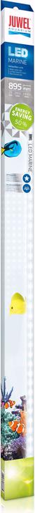 Juwel Aquarium Fluorescent tube LED Marine 23W 895mm (LED, 23 W)
