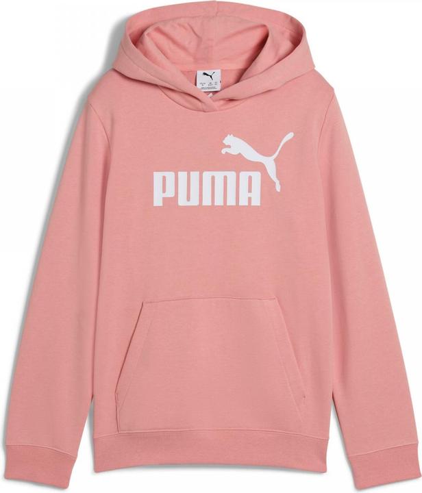 Actual product image Puma ESS No. 1 Logo Hoodie TR G (176)