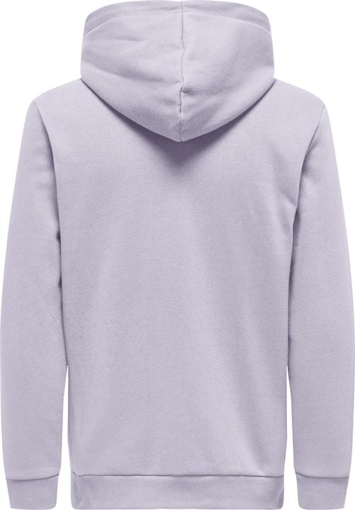 Immagine prodotto Only & Sons Onsceres Hoodie Sweat Noos (L)
