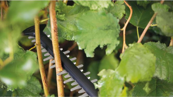 Immagine prodotto Bosch Home & Garden UniversalHedgeCut 18-55 (Tagliasiepi a batteria)