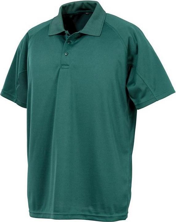verde bottiglia